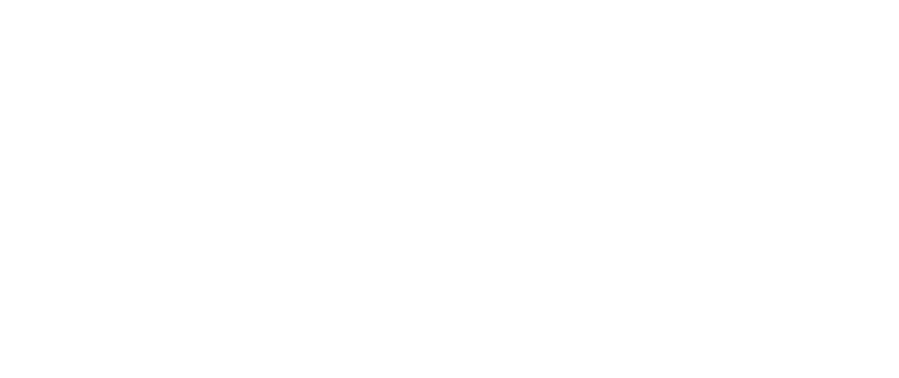 Ganak AI Labs
